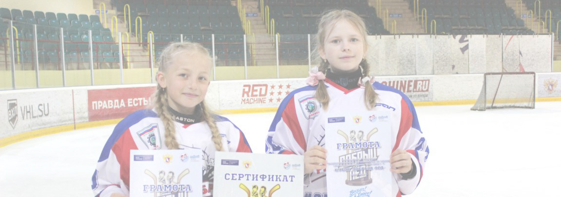 Региональный этап Республики Мордовии «Кубка Добрый лёд»